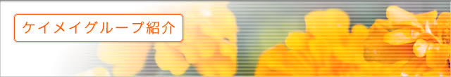 �P�C���C�O���[�v�Љ�