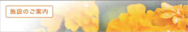 �{�݂̂��ē�