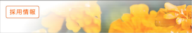 �̗p���