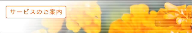 �T�[�r�X�̂��ē�