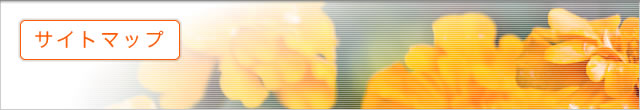 �T�C�g�}�b�v